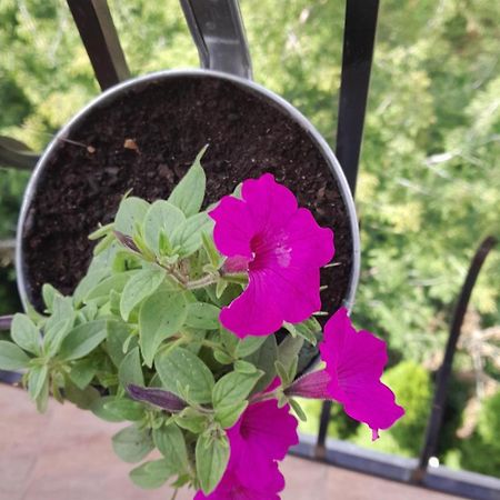 Apartamenty Puk Puk Mragowo Ngoại thất bức ảnh